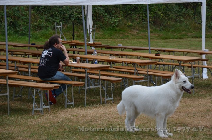 MCE Sommertreffen 2015 - 075.jpg